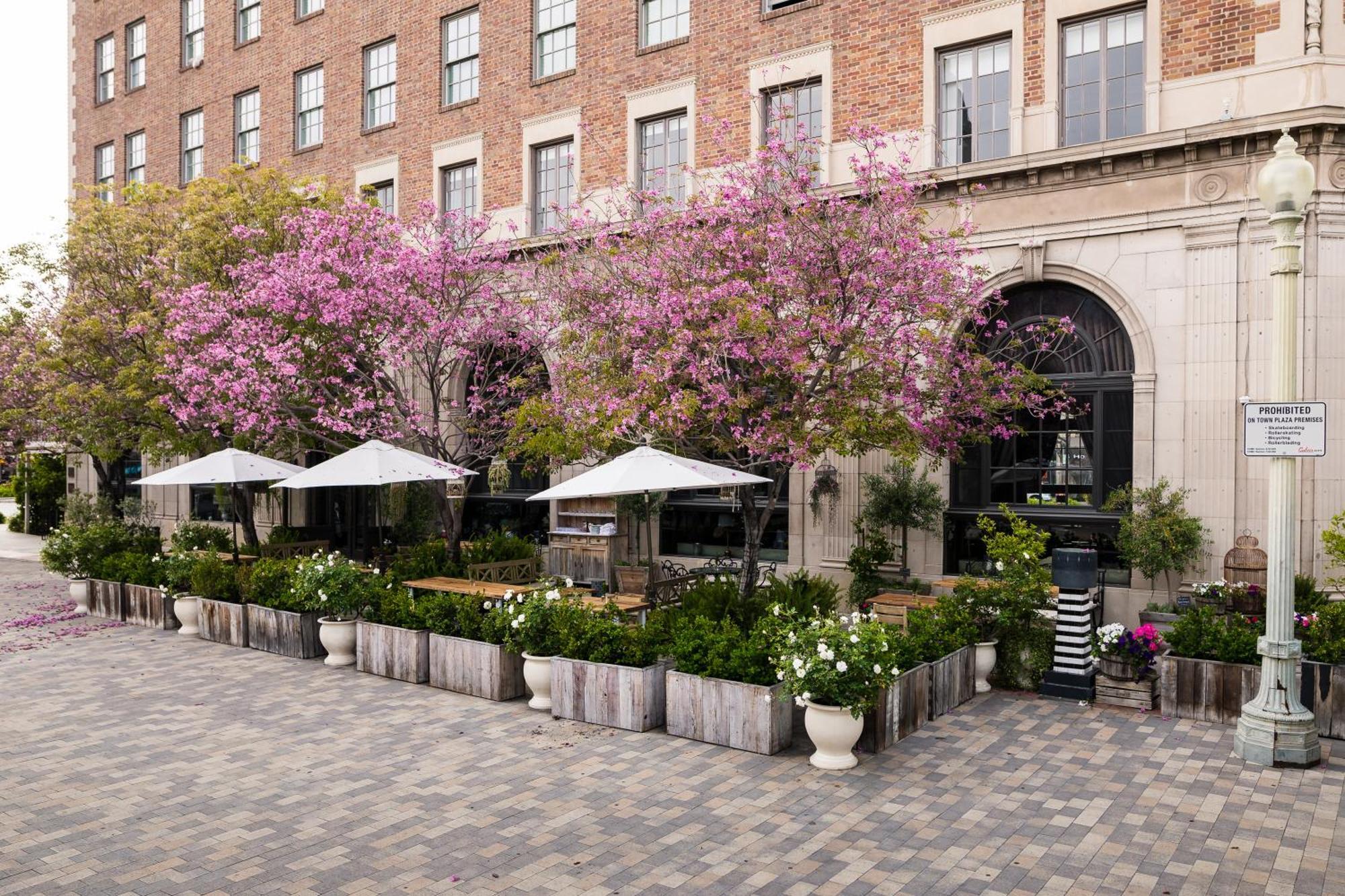 The Culver Hotel — Zdjęcia 3